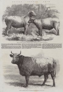Exposición de ganado en Poissy